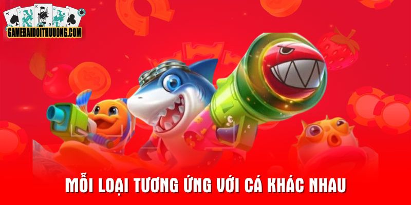 Mỗi loại tương ứng với cá khác nhau