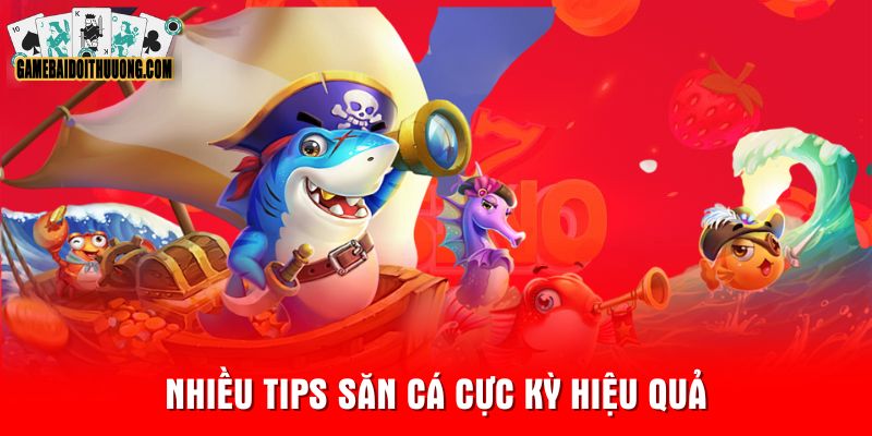 Nhiều tips săn cá cực kỳ hiệu quả